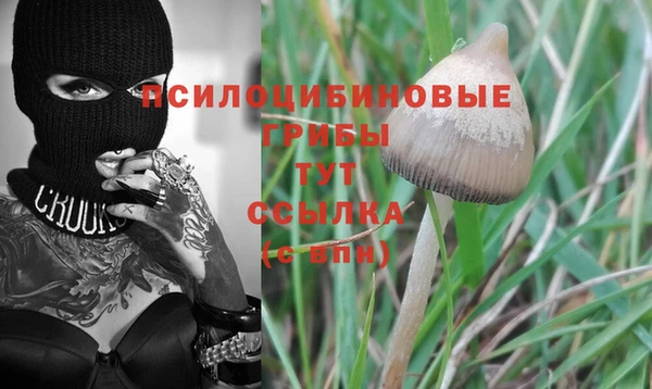 ГАЛЛЮЦИНОГЕННЫЕ ГРИБЫ Алексин