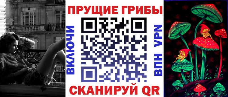 Псилоцибиновые грибы ЛСД  где купить наркоту  Опочка 