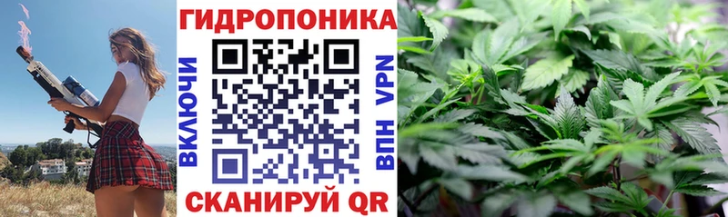 Бошки Шишки гибрид  кракен сайт  Опочка 